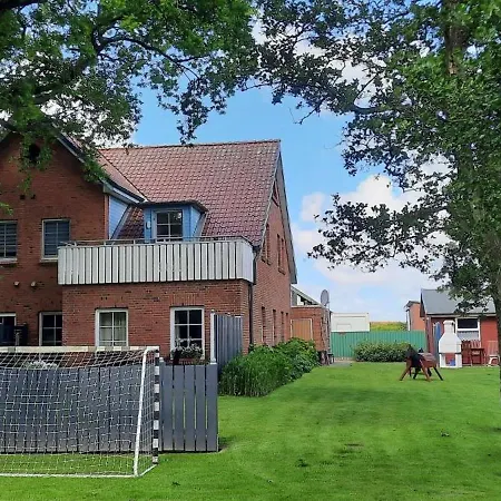 Seestern Friedrichskoog