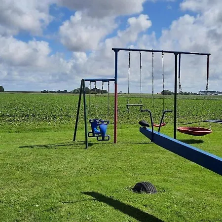 Seestern * Friedrichskoog