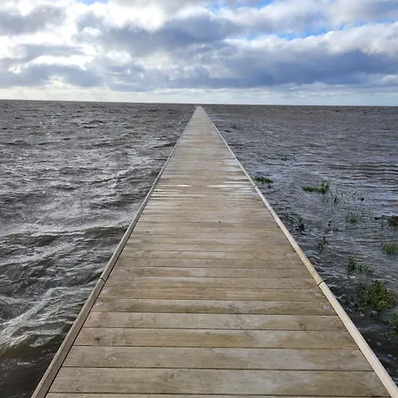 Seestern Friedrichskoog